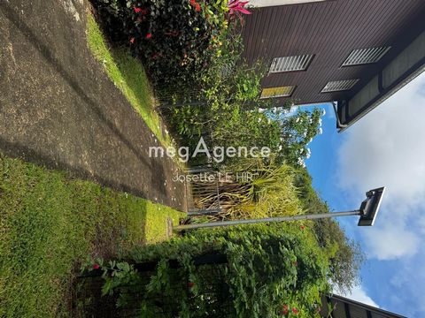 photo no. 13