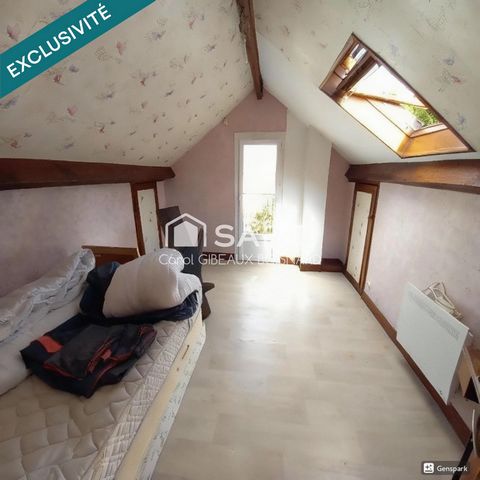 photo no. 11