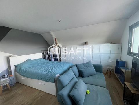 photo no. 16