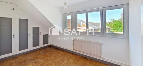 photo no. 12