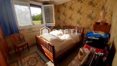photo no. 10