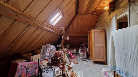 photo no. 19