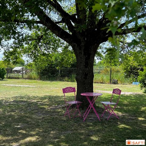 photo no. 9
