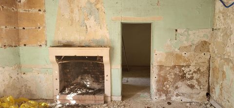 photo no. 8
