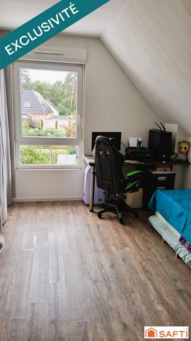 photo no. 10