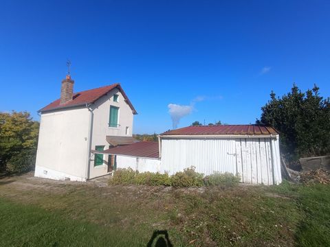 photo no. 6