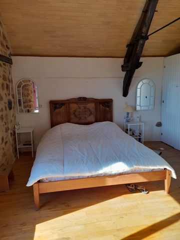 photo no. 11