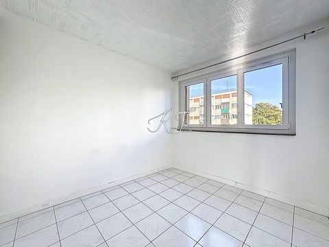 photo no. 6