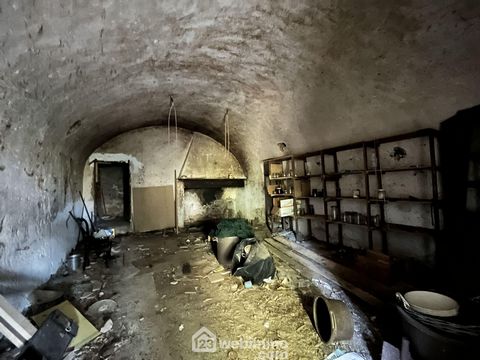 photo no. 4