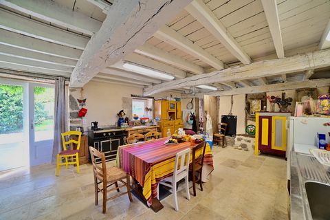 photo no. 14