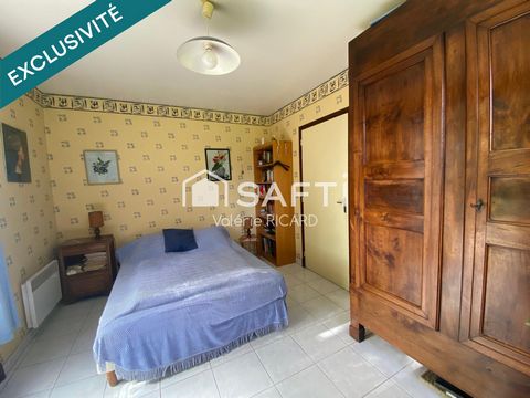 photo no. 8