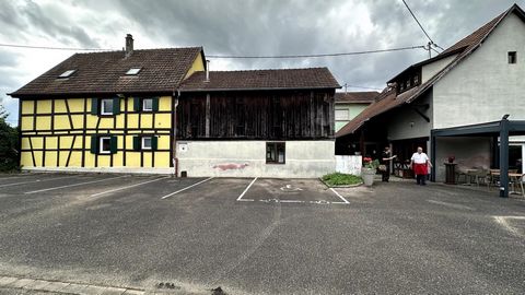 photo no. 11