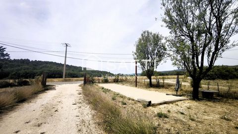 photo no. 11