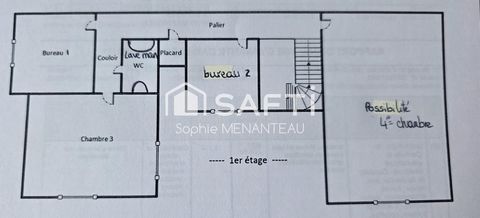 photo no. 11