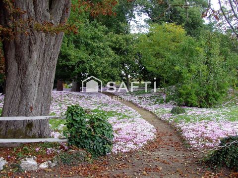 photo no. 9