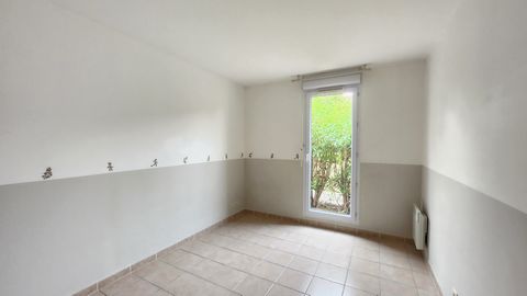 photo no. 8