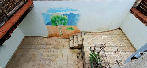 photo no. 11