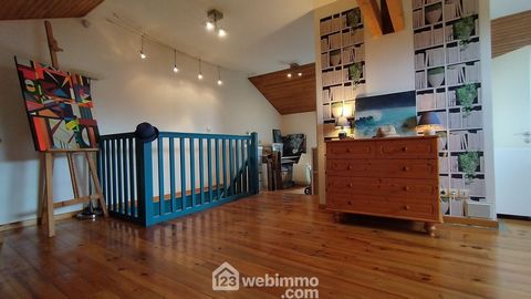 photo no. 13