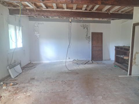 photo no. 8