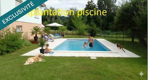photo no. 6