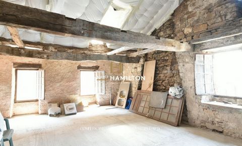 photo no. 14