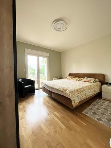 photo no. 11