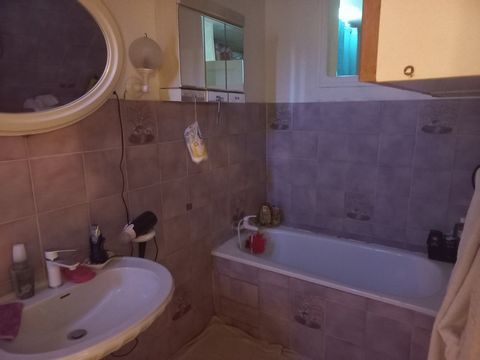 photo no. 11