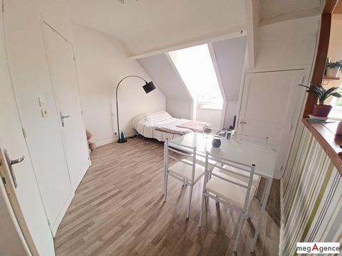 photo no. 13