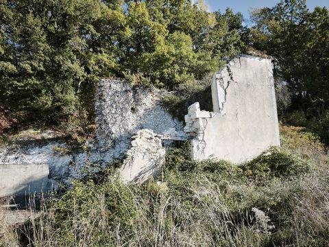 photo no. 3