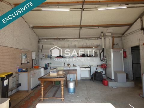 photo no. 11