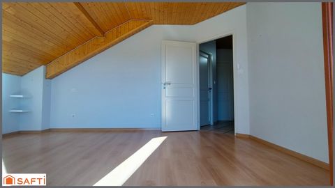 photo no. 11