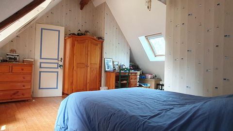 photo no. 18