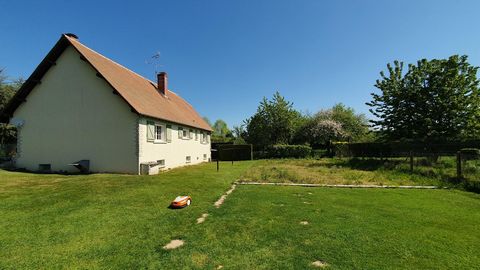 photo no. 3