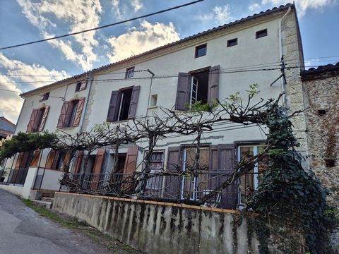 photo no. 20