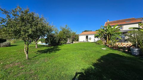 photo no. 3