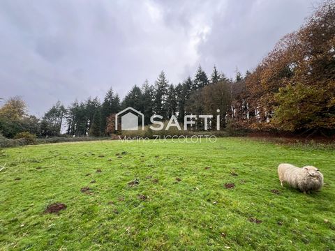 Terrain 1,2 hectare ave Etang