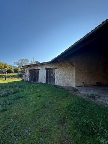photo no. 13