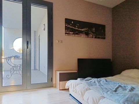 photo no. 6