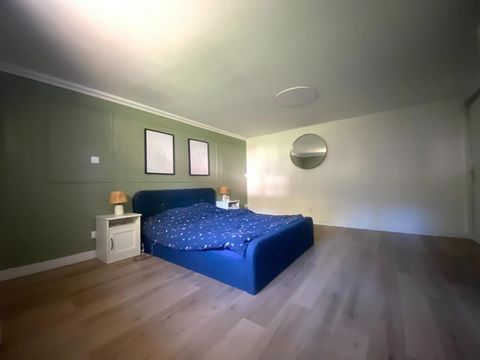photo no. 12
