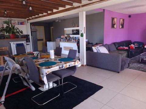 photo no. 10