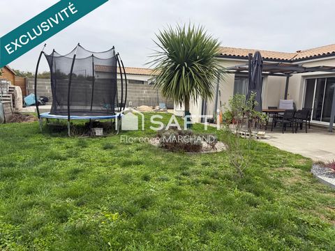 photo no. 10