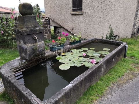 photo no. 24