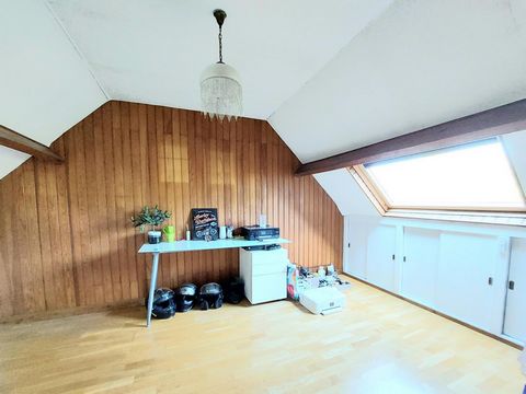 photo no. 7