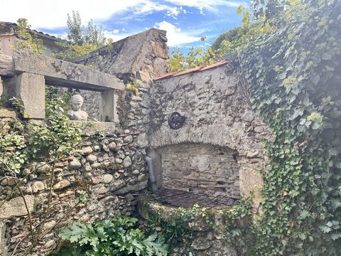 photo no. 18