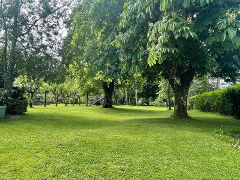 photo no. 16