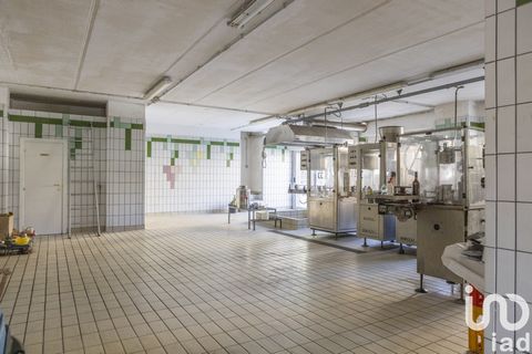 LORA DEGLI AFFARI (porzione C) Ottime condizioni. Versatile! In zona facilmente accessibile e ben collegata, proponiamo in vendita una porzione di fabbricato commerciale situata in Via Mario Alessandro Ceccaroni, a Recanati. Limmobile fa parte di un ...