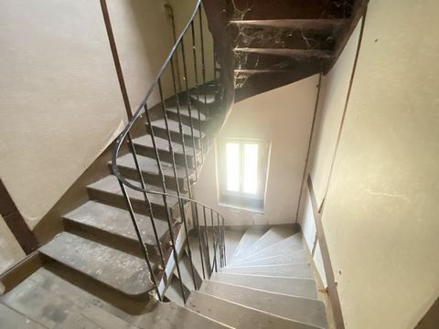 photo no. 11