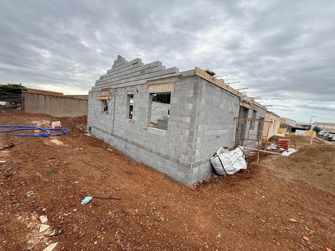 photo no. 2