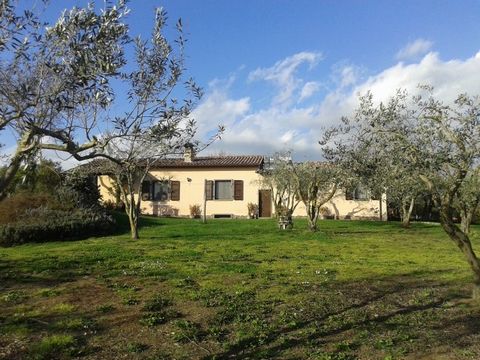 Detached country house, free on 4 sides, located 2 kilometres from Bomarzo, a small town with 1800 inhabitants and with primary services and train station. Detached country house, free on 4 sides, located 2 kilometres from Bomarzo, a small town with ...