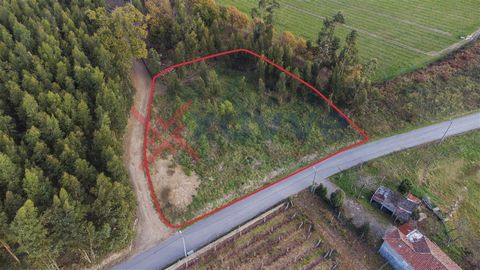 Land located in the parish of Torrados, municipality of Felgueiras. Location close to the entrance of the A11 motorway, which connects to the city of Porto in about 40 minutes, as well as only 5km from the city center of Felgueiras. The land has a to...